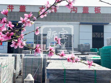 花滿枝頭，春意盎然